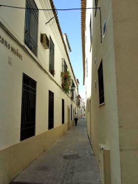 Calle Pedro Munoz.jpg