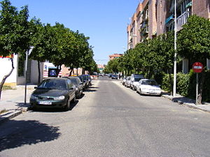 Calle Canamo.JPG