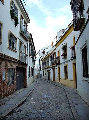 Calle Isaac Peral.jpg